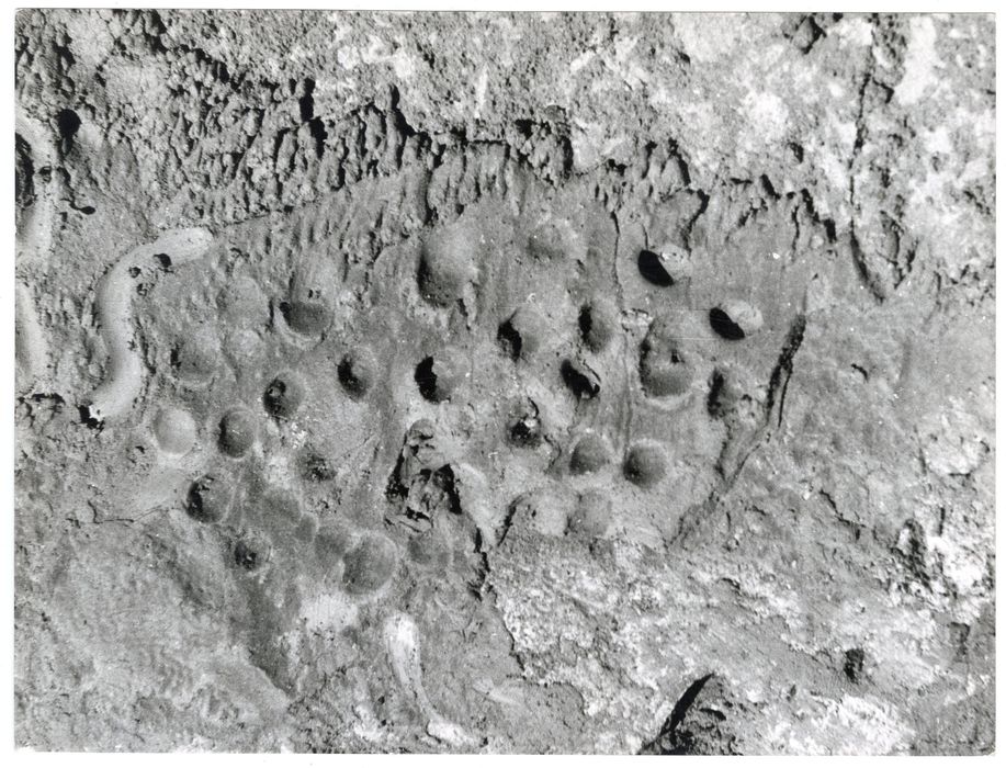 détail d’une gravure (impressions digitales)