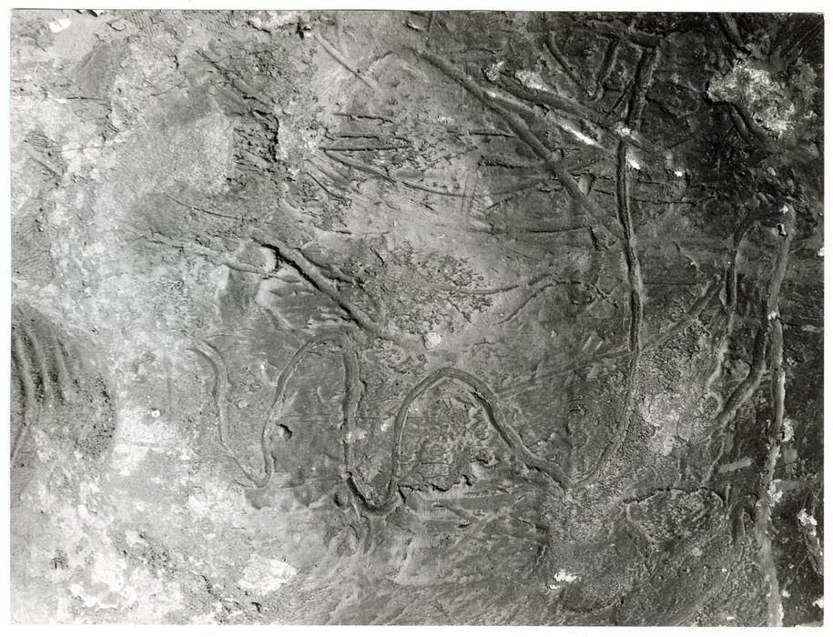 détail d’une gravure (tracés digitaux)