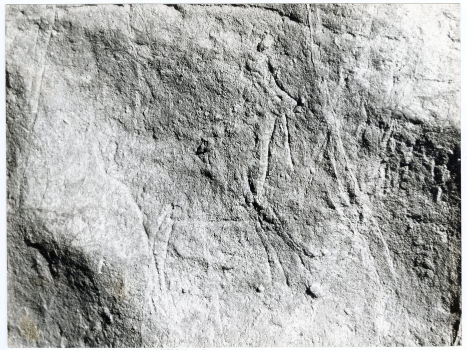 détail d’une gravure (biche)