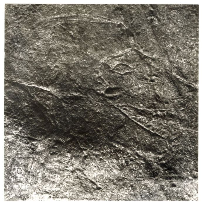 détail d’une gravure (tête humaine ?)