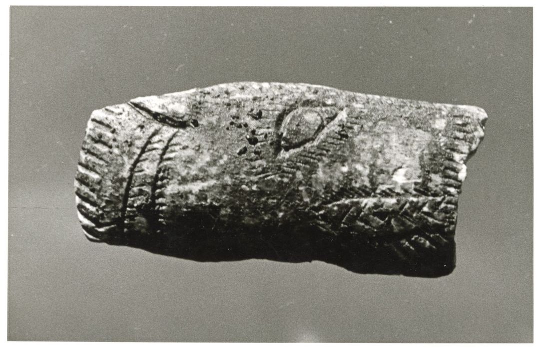 gravure sur os d’un cheval