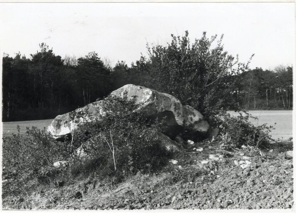 vue générale du dolmen