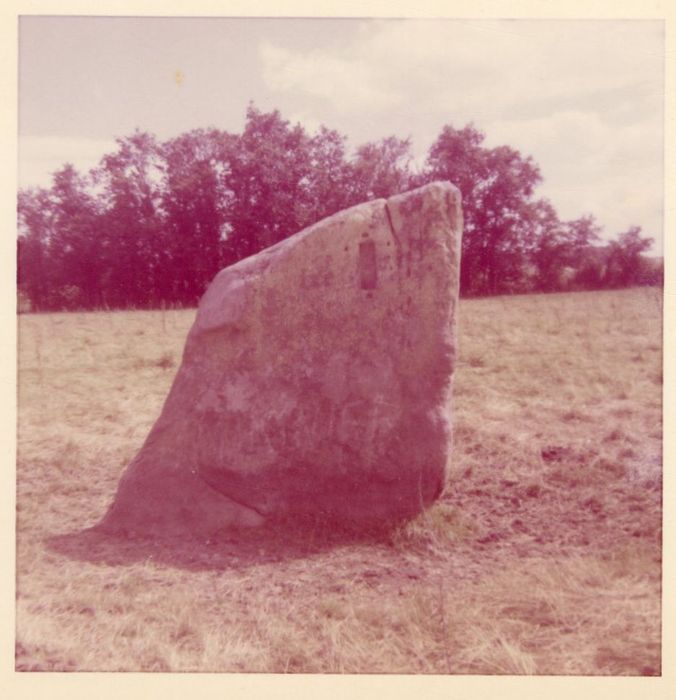 vue générale du menhir