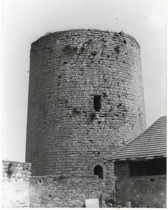 vue générale du donjon