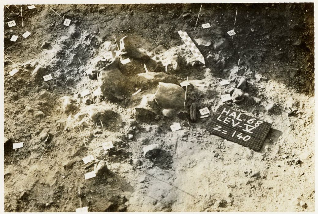 vue partielle des fouilles