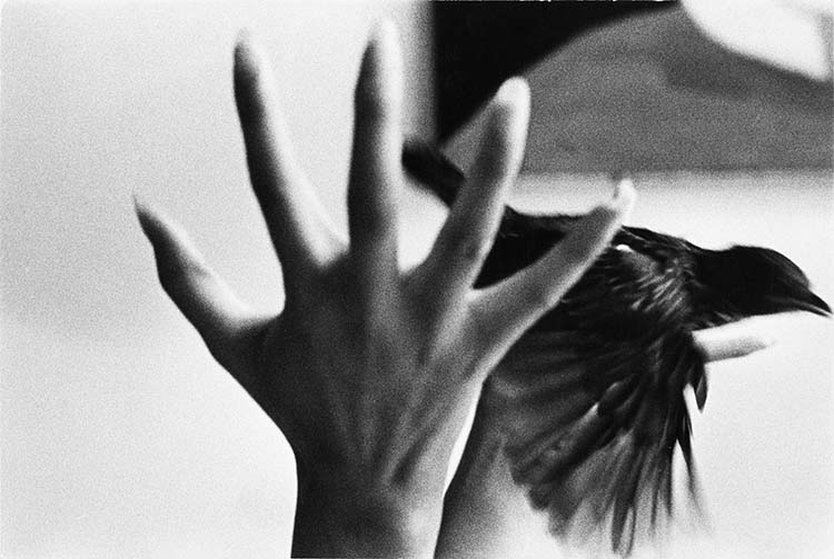 Envol de Pioupiou, 154 rue de Picpus, Paris, 1968 ; [Lâcher d'oiseau]