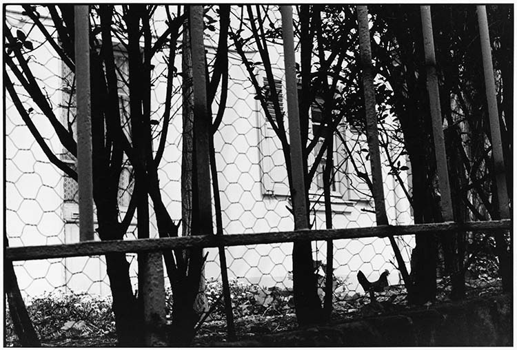 9 rue Dubrunfaut, Paris 12e arrondissement, 1979 ; [Poulailler]