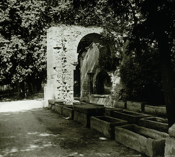 Arc, alignement de sarcophages