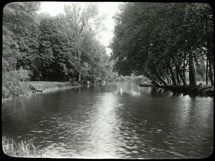 Plan d'eau, végétation