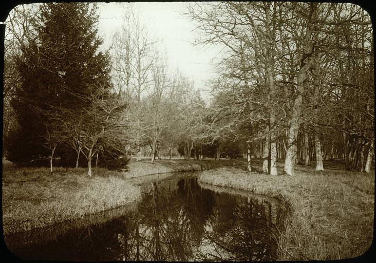 Vue du parc : cours d'eau, arbres