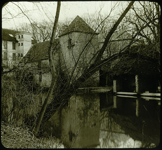 Vue d'ensemble, végétation