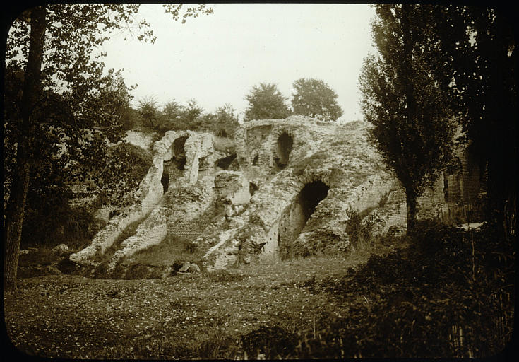 Vestiges, vue partielle, arbres