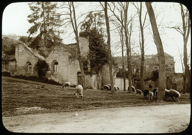 Route, vestiges, arbres, troupeau de moutons