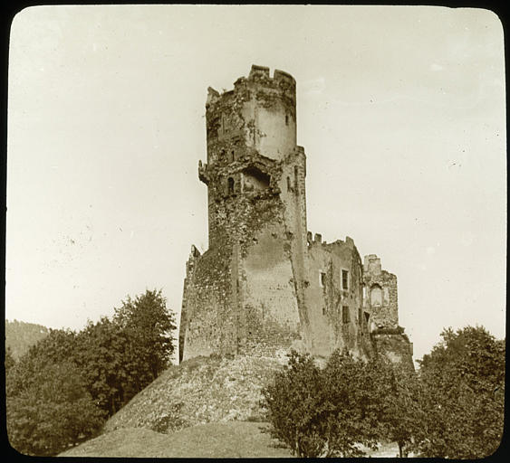 Vue d'ensemble extérieure, motte castrale et donjon