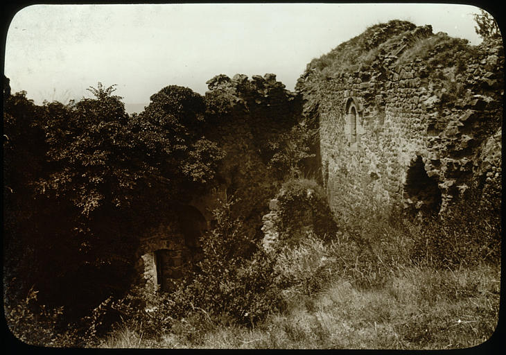 Chapelle : deux pans de murs en retour d'angle couverts de végétation