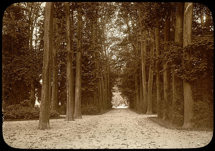 Parc, carrefour d'allées arborées : promeneurs à l'arrière-plan