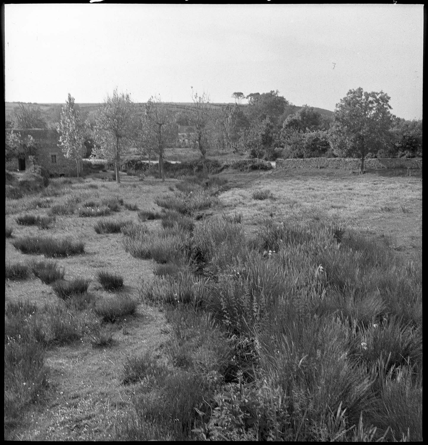 Maisons isolées et leurs jardins