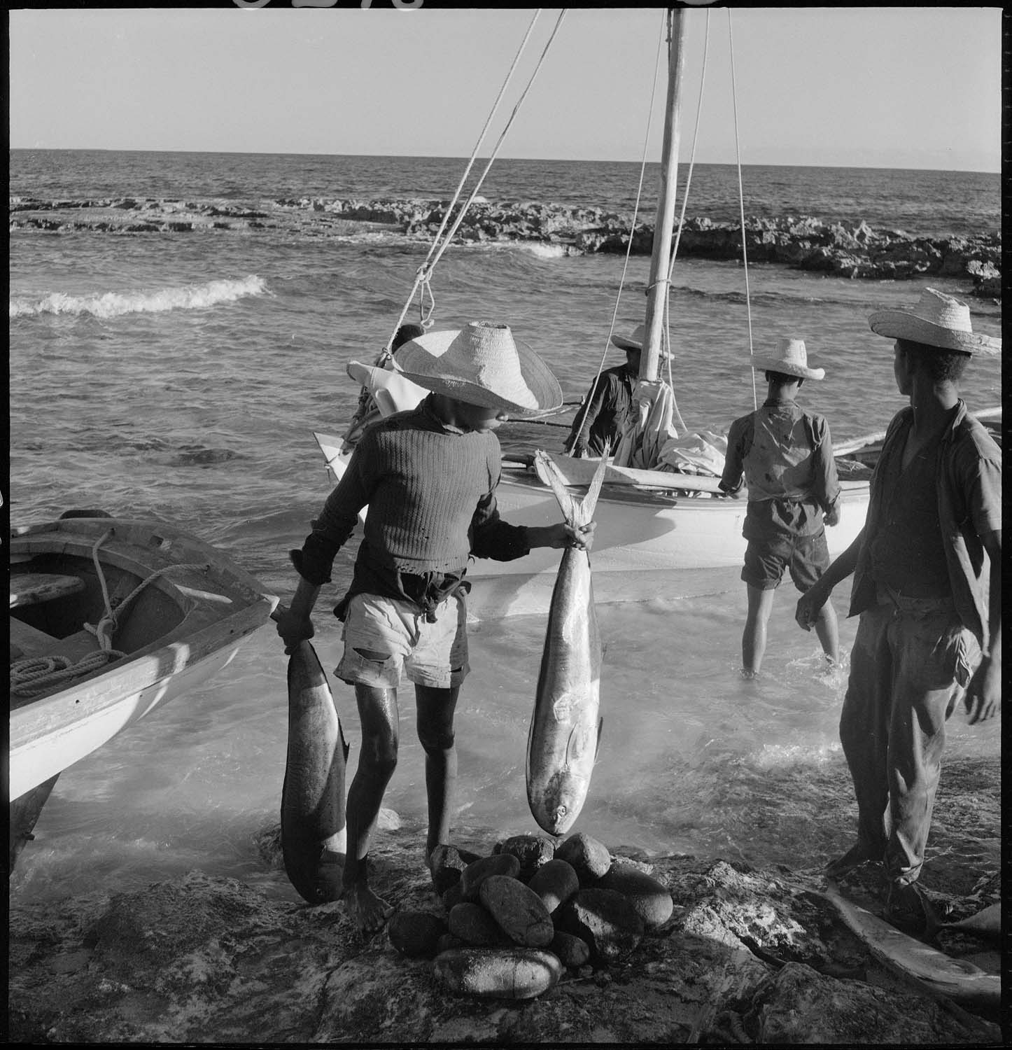 Récolte de la pêche : déchargement d’un gommier
