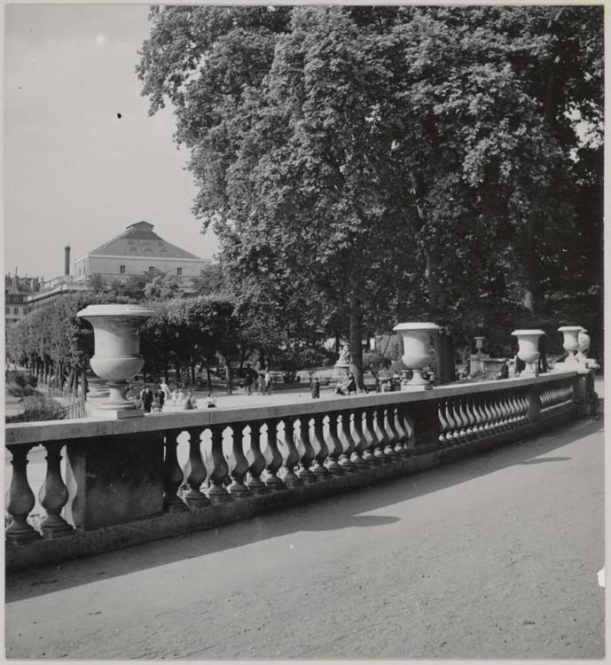 Jardin du Luxembourg : promenade aux vases Médicis