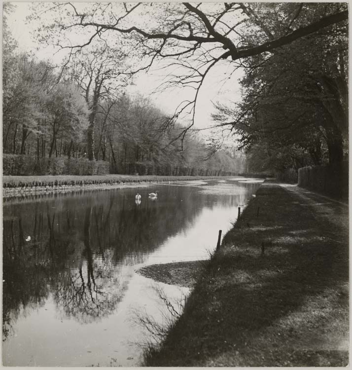 Parc : grand canal