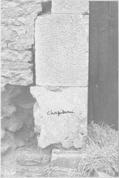 chapiteau : Daniel dans la fosse aux lions, détail de l'emplacement du chapiteau avant sa redécouverte