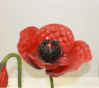 modèle de fleur articulé Brendel : coquelicot, détail
