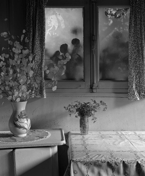 Les deux bouquets, 1980 ; [Cuisine]