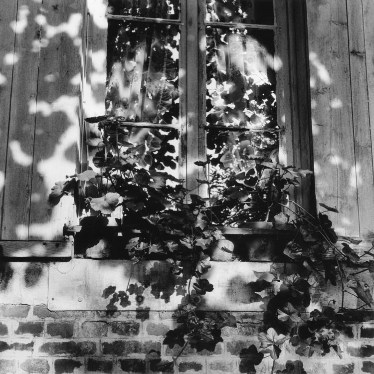 Fenêtre, du dehors, 1973 ; [Géraniums]