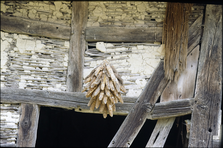 Partie de la façade : pans de bois et linteau de porte