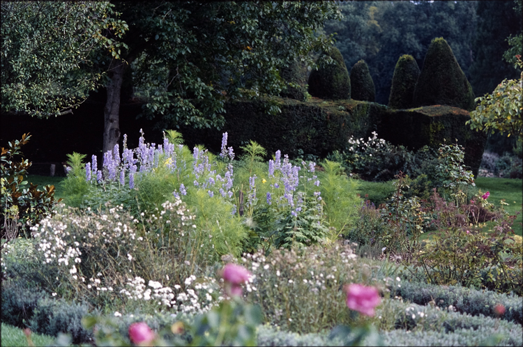 Parc : fleurs