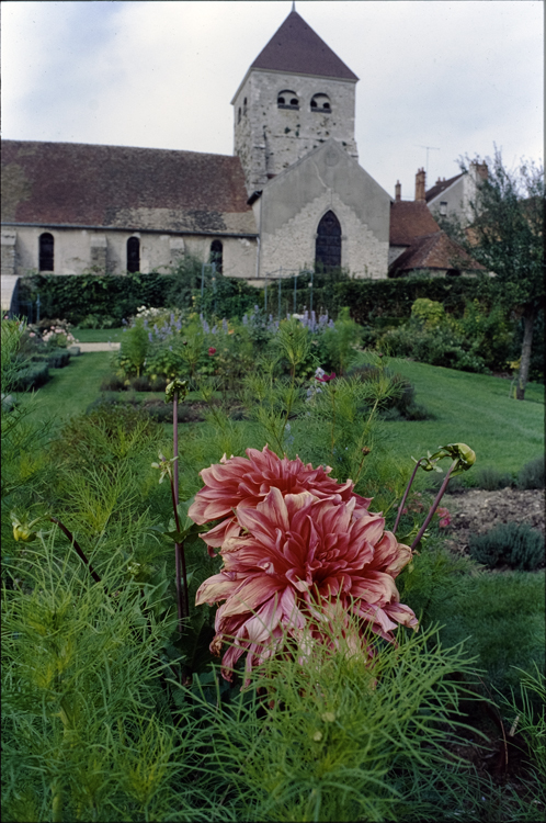 Parc : fleurs avec vue sur l’église