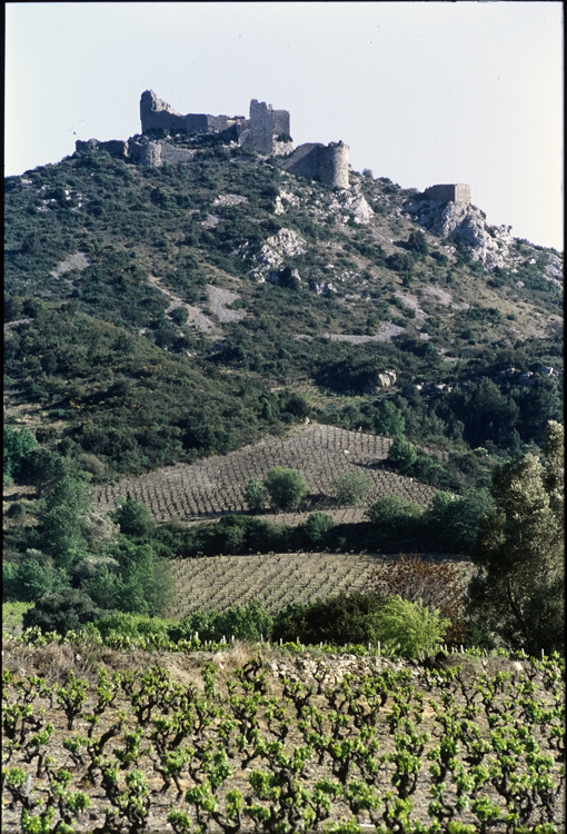 Vue prise depuis les vignes