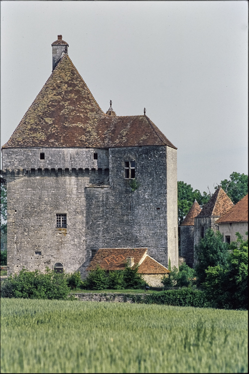 Vue depuis les champs