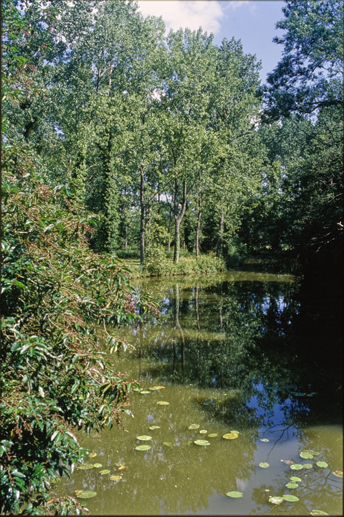 Vers les îles : cours d’eau