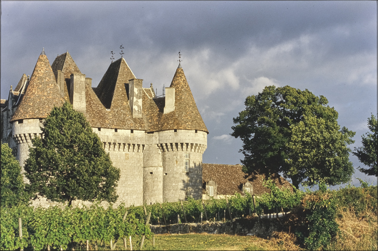 Vue depuis les vignes