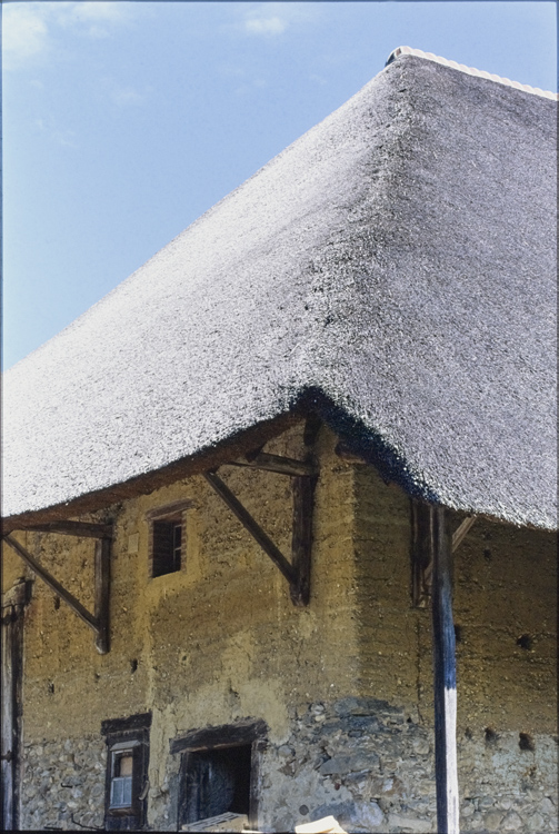 Façade et toit de chaume