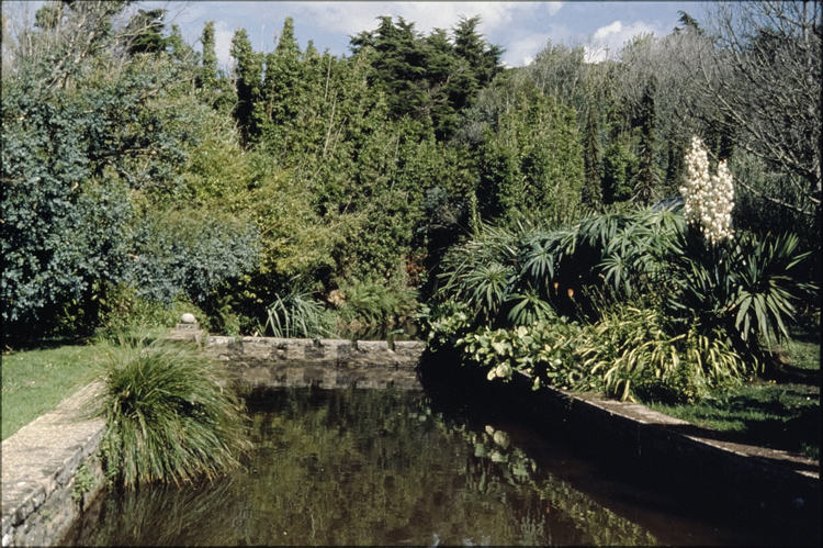 Jardin et bassin d'eau