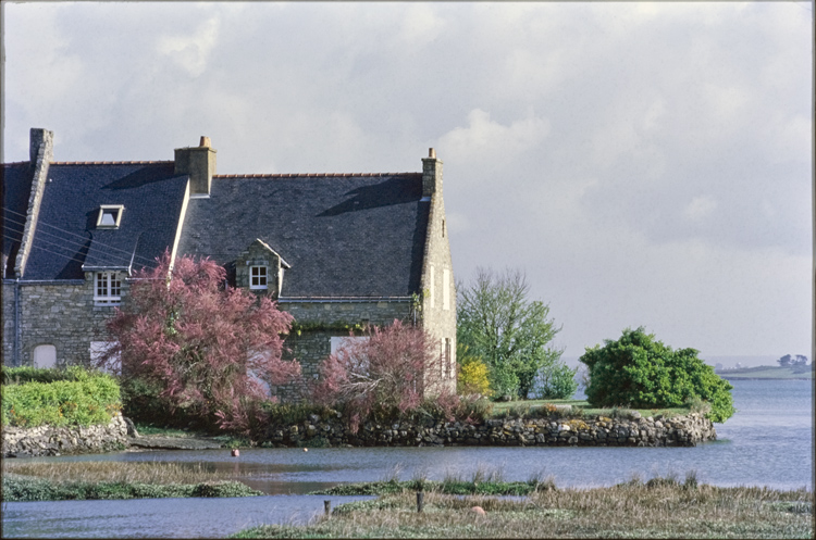 Vue d'ensemble