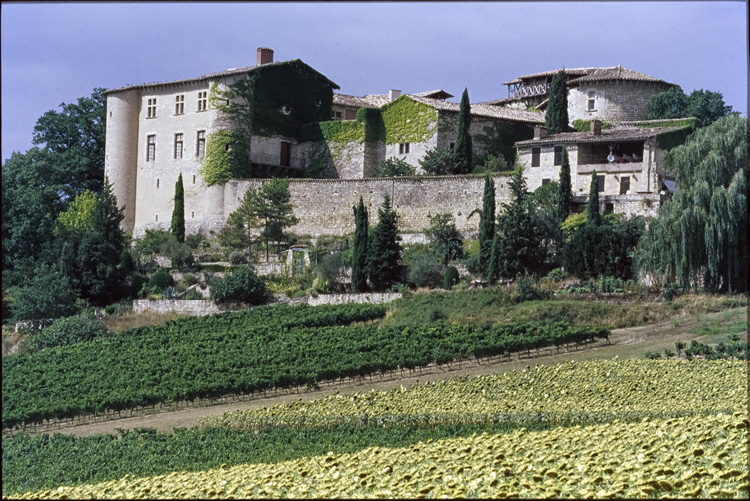 Versant sud-ouest du château