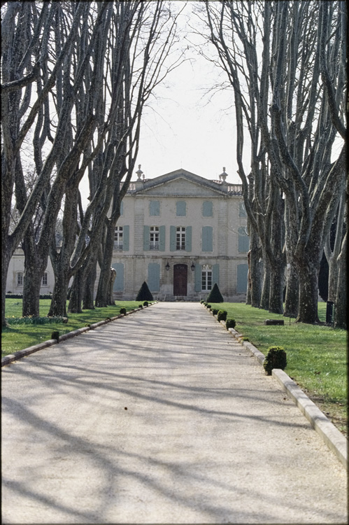 Allée de platanes menant au château