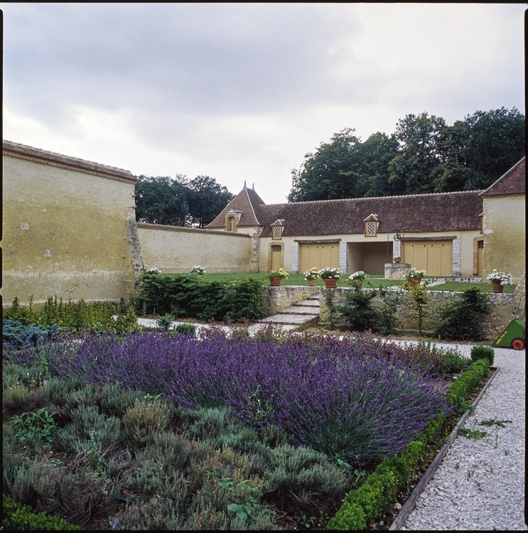 Jardin : parterre de fleurs