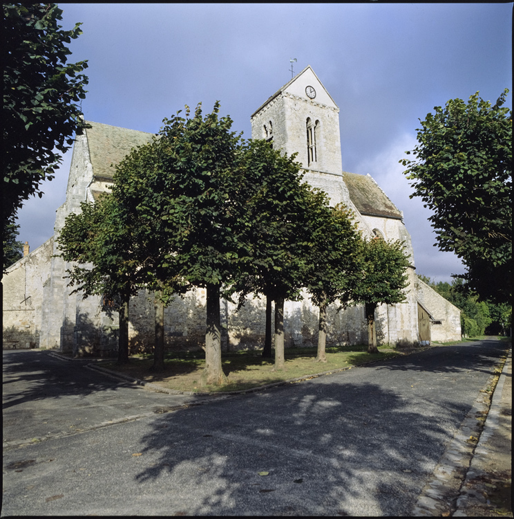 Vue d'ensemble ; Arbres