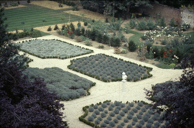 Jardin : vue d’ensemble