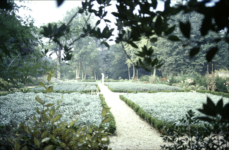 Jardin : vue d’ensemble