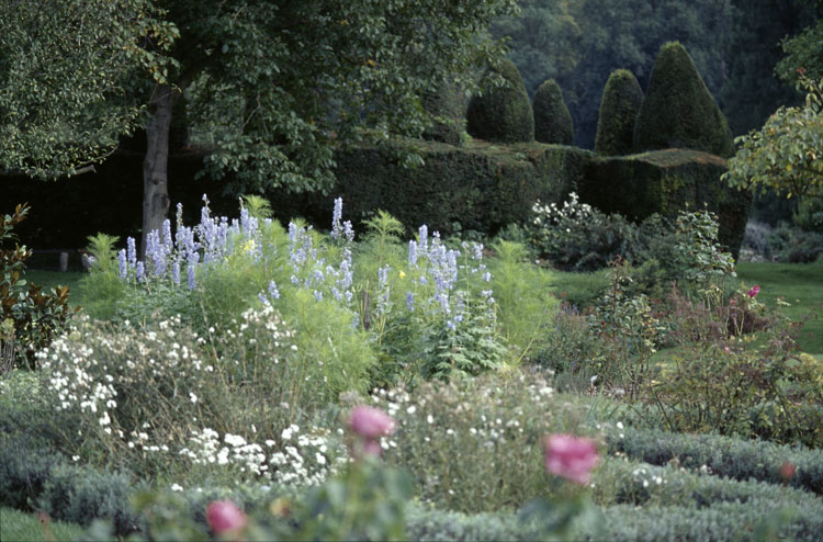 Massifs de fleurs