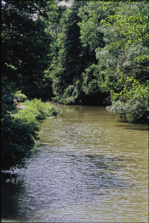 Rivière Le Beuvron