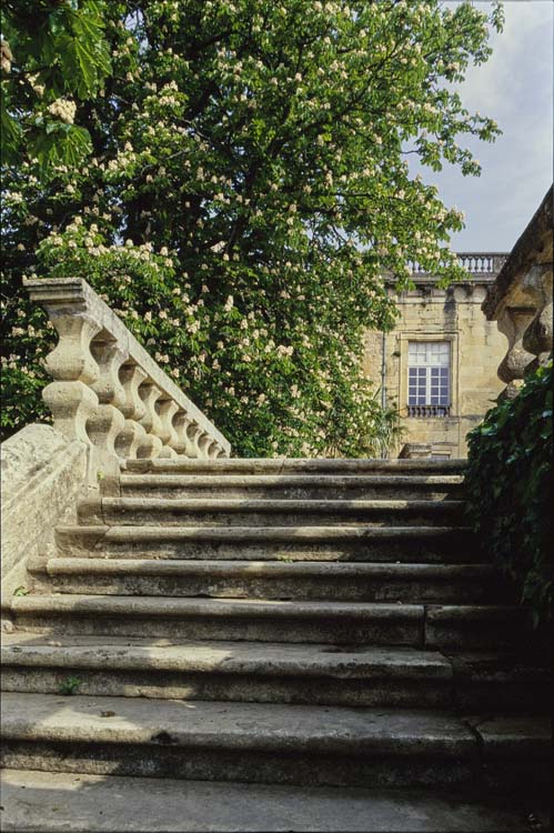 Jardin : escalier menant à la terrasse