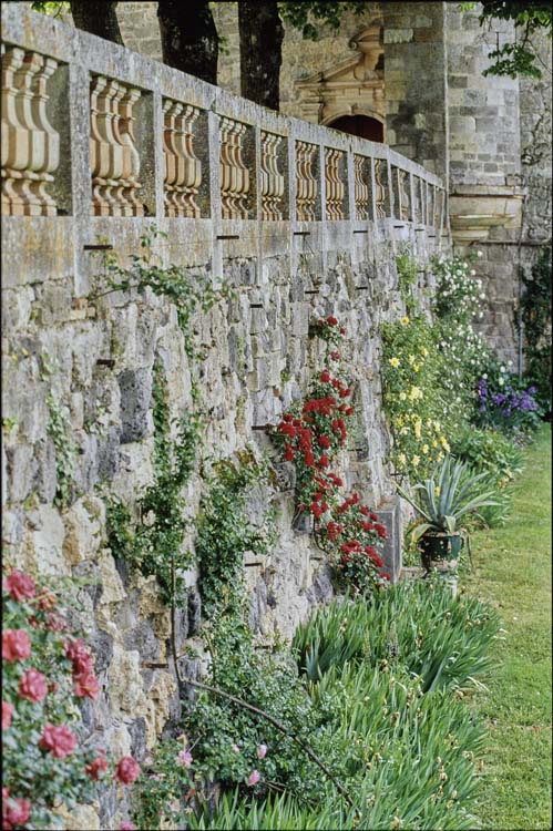 Jardin ; Terrasse