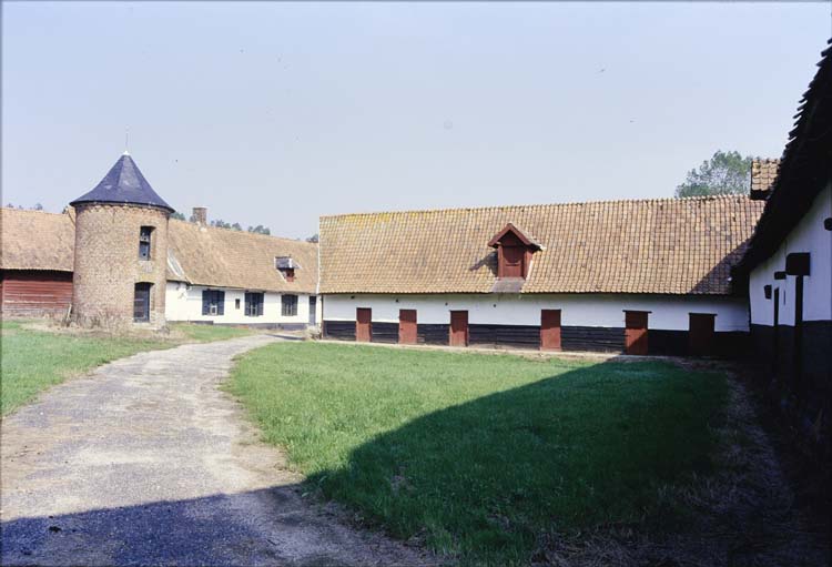 Communs : vue d’ensemble de la cour