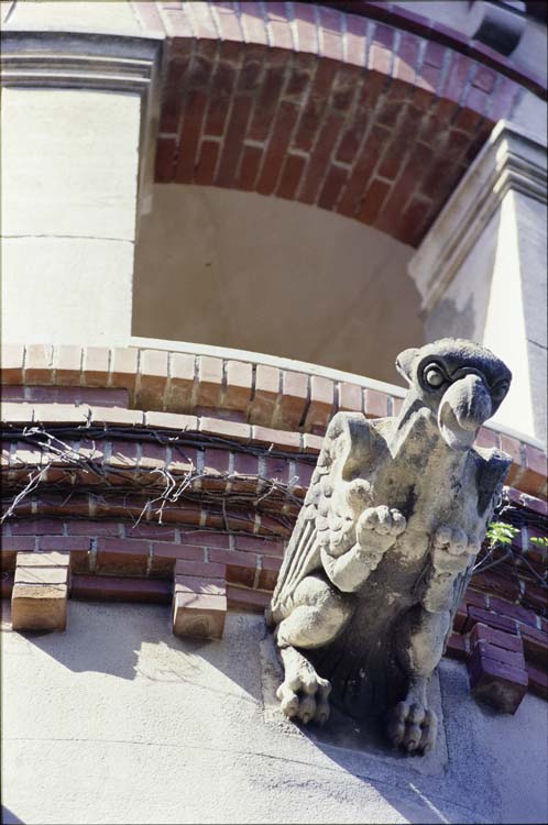 Façade est, tour sud : gargouille